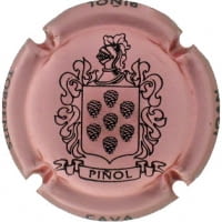 JOAN PIÑOL TORRENTS X. 152353