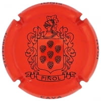 JOAN PIÑOL TORRENTS X. 155182