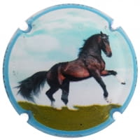 JOAN PIÑOL TORRENTS X. 160380