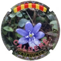 CALDERE X. 153435