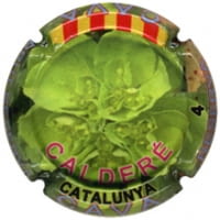 CALDERE X. 152629