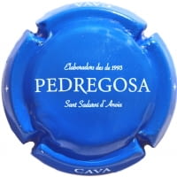 CASTELO DE PEDREGOSA X. 138840 (EDICIONS ESPECIALS)