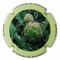 CANALS NADAL X. 146505