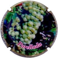 XAVIER PALET X. 92787 (PARELLADA)