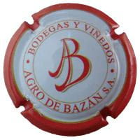 AGRO DE BAZAN X. 111589