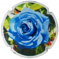 BUTI-MASANA X. 161989 ROSAT