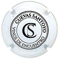 CUEVAS SANTOYO X. 154440