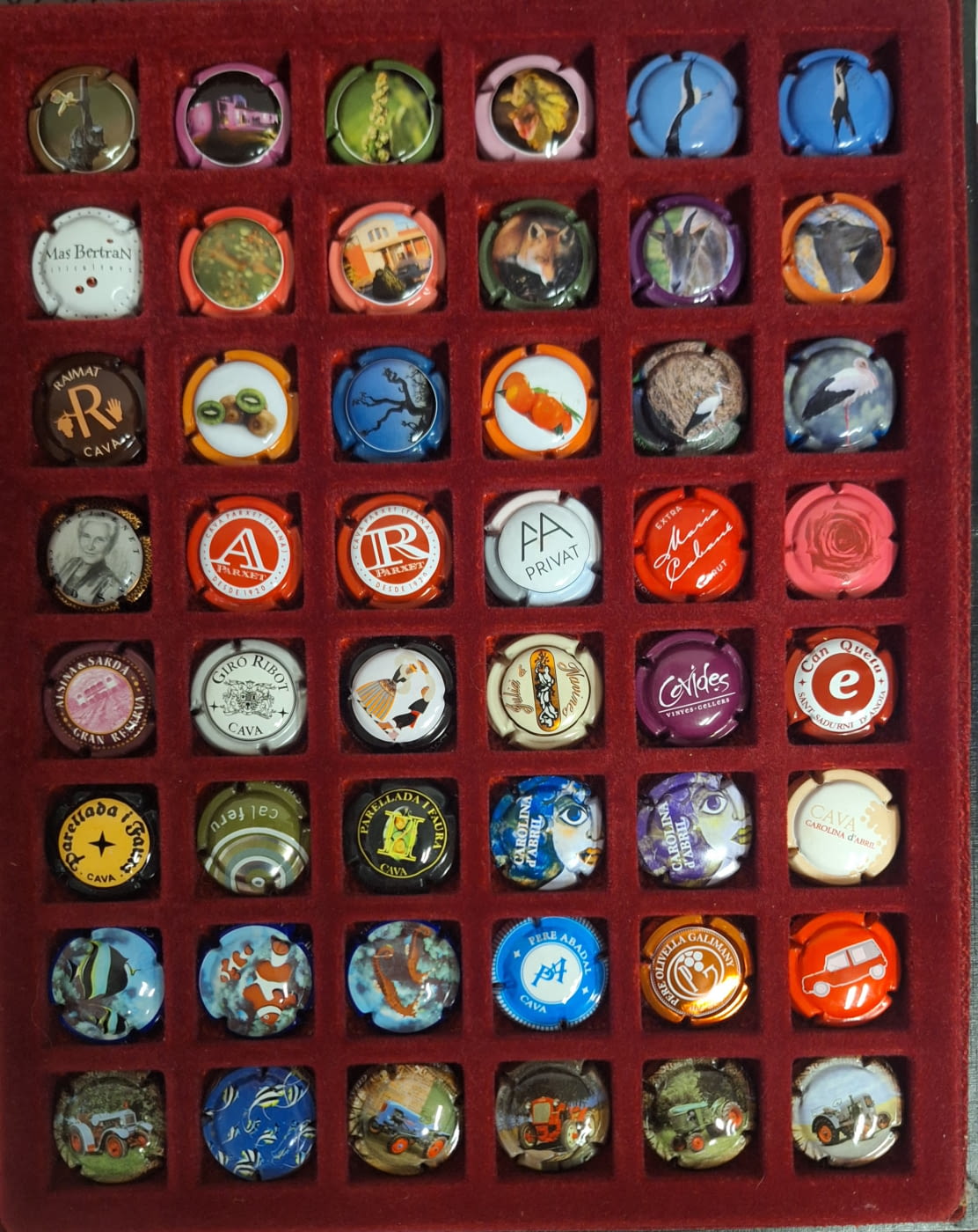 LOTE DE 48 PLACAS DE CAVA IDEAL CAMBIOS 9 (0.10 UNIDAD)