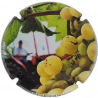 PERE OLIVELLA GALIMANY X. 141510