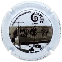 RABELLAT I VIDAL X. 160116 (2018)