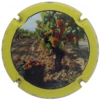 CUSCO BERGA V. ESPECIAL X. 141749