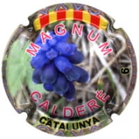 CALDERE X. 162076 MAGNUM
