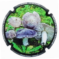 AVAC BO X. 159226 (ALT URGELL)