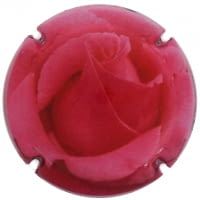 FUCHS DE VIDAL X. 143115 (ROSE)