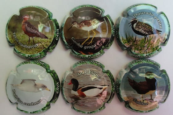 PUIG AMAT JUEGO 6 PLACAS X. 166163 A 166168 (PAJAROS 3)