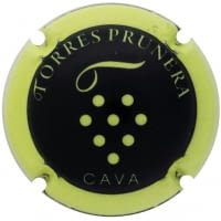 TORRES PRUNERA X. 162826