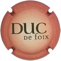 DUC DE FOIX X. 163599