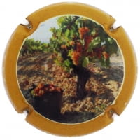 CUSCO BERGA X. 152946