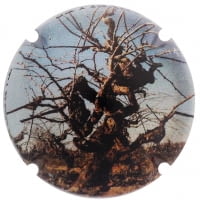 GRAU DORIA X. 167793