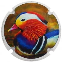 JOAN PIÑOL TORRENTS X. 167796