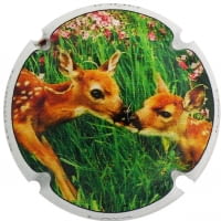 JOAN PIÑOL TORRENTS X. 167797