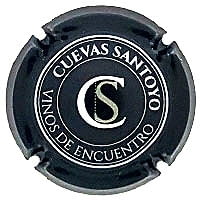 CUEVAS SANTOYO X. 166907