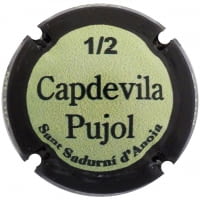 CAPDEVILA PUJOL X. 167894