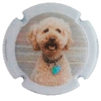 XIC D'ALFONS X. 147294