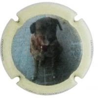 XIC D'ALFONS X. 147115