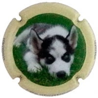 XIC D'ALFONS X. 147492