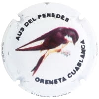 CUSCO BERGA X. 135309 (ORENETA)