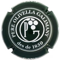 PERE OLIVELLA GALIMANY X. 168872