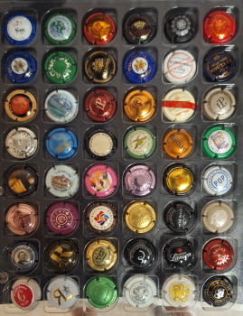 LOTE DE 48 PLACAS FRANCESAS 6 (0.10 UNIDAD)