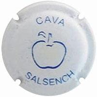 SALSENCH X. 107883