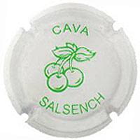 SALSENCH X. 110067
