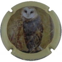 XIC D'ALFONS X. 157728