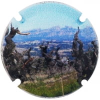 GUILLEM CAROL X. 173628