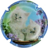 EL CELLER VELL X. 129754