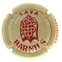 BARNILS V. 1876 X. 00374