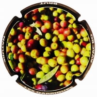 AVAC BO X. 180826 (LES GARRIGUES)