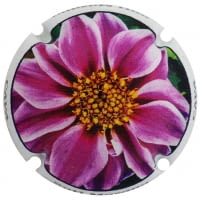 BUTI-MASANA X. 174372