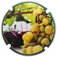 PERE OLIVELLA GALIMANY X. 163000