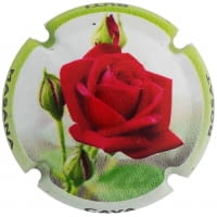 BUTI-MASANA X. 177701