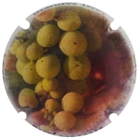 BUTI-MASANA X. 165466