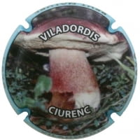 VILADORDIS X. 167550 (EDCIONS ESPECIALS)