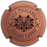 MUSCANDIA X. 165125 (COURE)