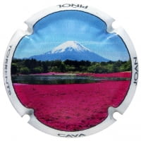 JOAN PIÑOL TORRENTS X. 182953