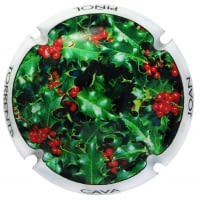 JOAN PIÑOL TORRENTS X. 182954