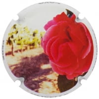 PERE OLIVELLA GALIMANY X. 156251