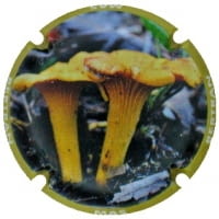 MAS BERTRAN X. 168710